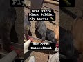 Snack for your chickens #clips #chicken #grubterra #2025 #funny #blacksoldierfly #music