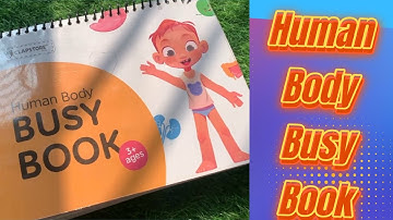 Clapstore Human Body Busy Book Review | Montessori Anatomy Learning Toy for Kids (Ages 2–6)