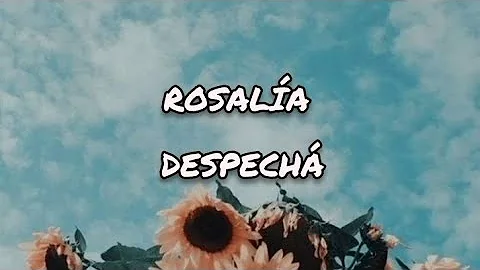 ROSALÍA - DESPECHÁ (Lyrics)