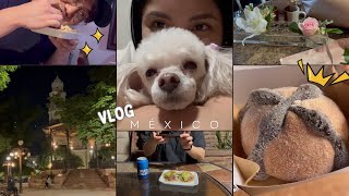 Vlog  Primer día en México  + comienza la tragadera + boda + amigos