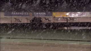 Vidéo de la course PMU PRIX GREENART