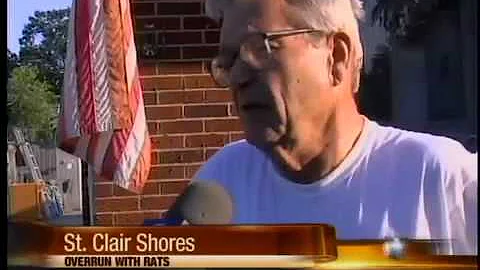 Home infested by rats