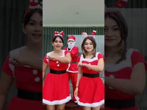 Video: 10 Cara Untuk Merayakan Krismas Dengan Bayi Bulu Anda