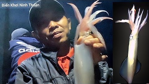 Câu Mực Óng , Hành Trình Câu Mực Đêm 12 Giờ Ở Bãi Thùng ||VĨNH HUY||