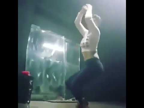 رقص جذاب از مائده هژبری