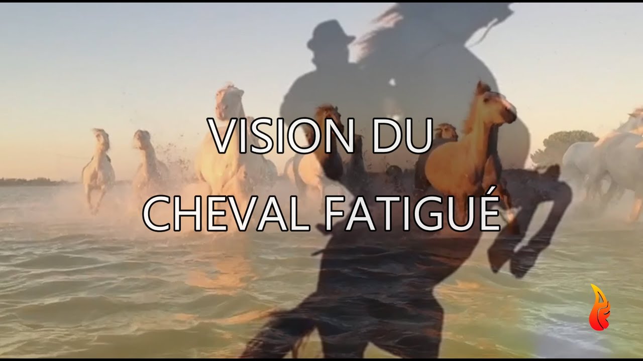 Cheval Fatigué 4K - YouTube