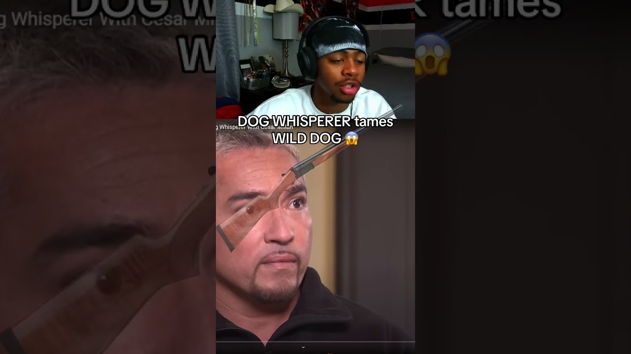 ElijahStackss ON TWITCH