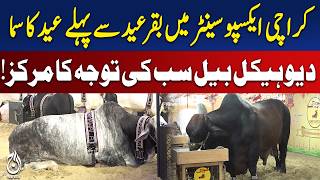 کراچی ایکسپو سینٹر میں عید سے قبل عید