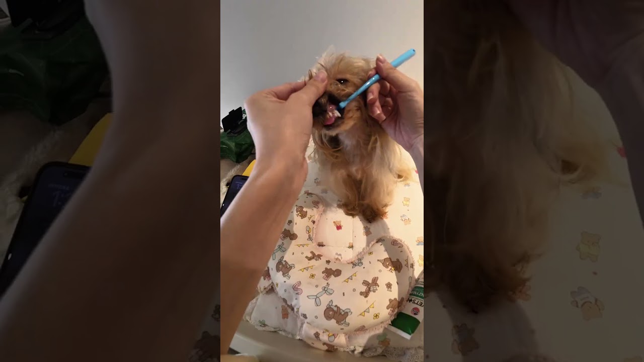 New Year's Bathing Beauty Revolution: Ultimate Cleaning Transformation