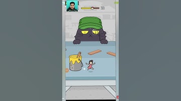 Hide and Seek Cat Escape Gameplay level 21 #shorts #gaming #hideandseek #hideandseekcatescape