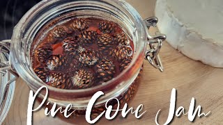 Medicinal Pine Cone Jam