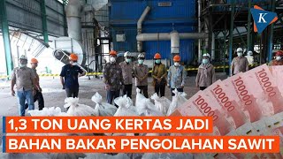 13 Ton Uang Kertas Dijadikan Bahan Bakar Cpo Di Bangka Belitung