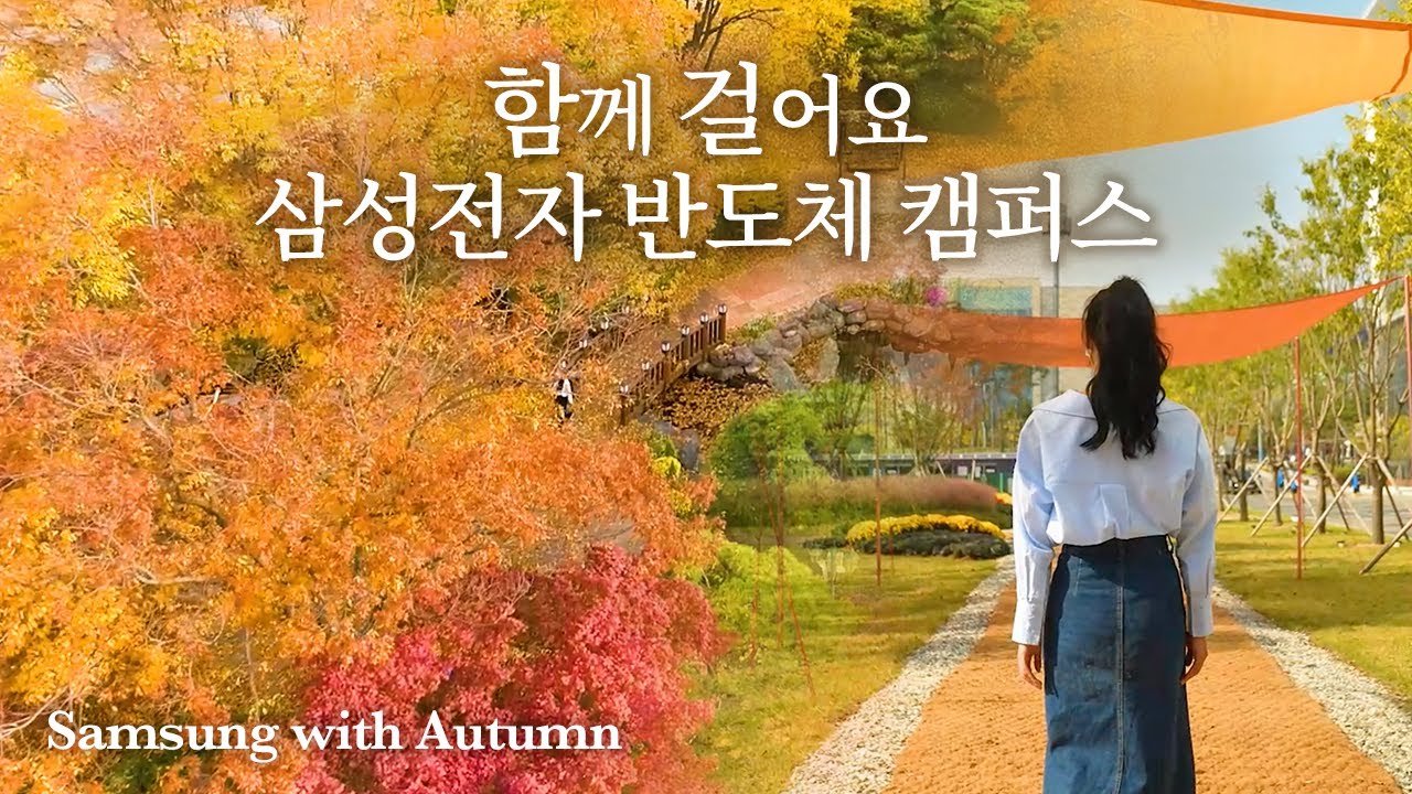 '삼성전자 반도체' 캠퍼스의 가을?, 함께 걸어볼까요?