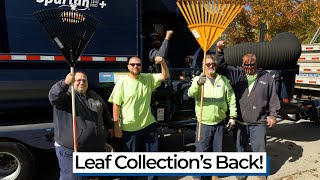 Hilliard Leaf Collection's Back For 2023!