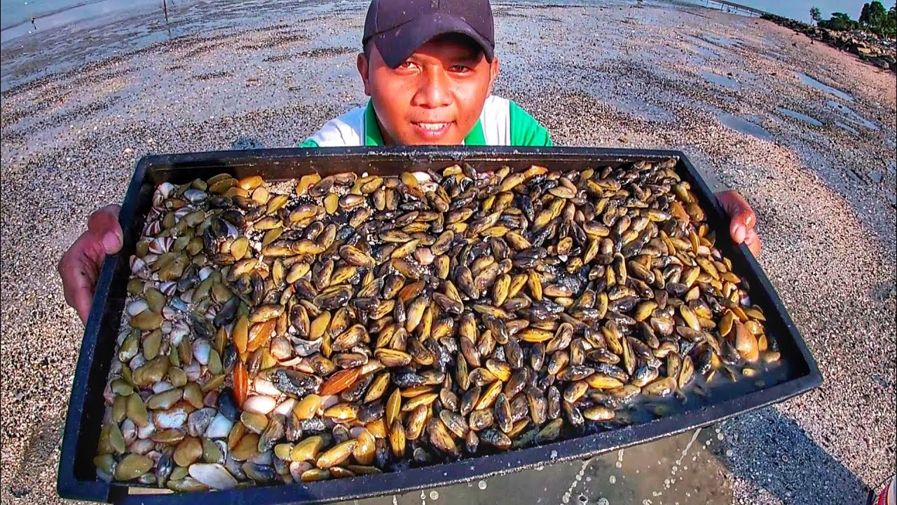 Pelbagai Jenis Kepah Dalam Satu Tempat