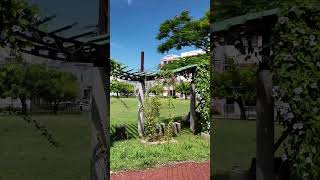 Download Lagu Colors #naha #okinawa #japan MP3