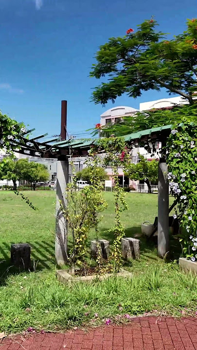 Colors #naha #okinawa #japan