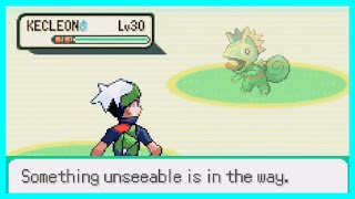 The Invisible Kecleon of Route 120