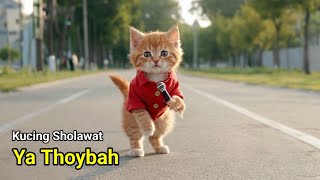 Kucing Imut Sholawat Ya Thoybah by Channel Kucing 294 1,124 views 1 month ago 2 minutes, 32 seconds