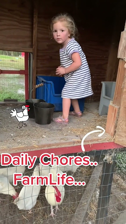 Gathering Fresh Eggs with the Youngest Farmhand #farmlife #gatheringeggs