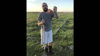 How to Catch Gophers