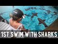 Kids Swimming with Sharks!! /// WEEK 107 : Bahamas