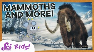 woolly mammoths mastodons and amazing teeth scishow kids