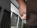LG DUAL INVERTER SPLIT AC CONDENSER COIL LEAKAGE