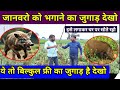 फ्री में बनाओ💸 ऐसा जुगाड़ जंगली जानवर खेत से भागेंगे #deshijugad #jugaadindia #jugaadvideo