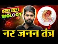 नर जनन तंत्र | Male Reproductive System | Class 12 Biology | Board Exam 2026