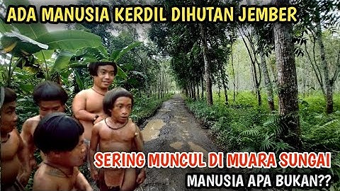 Inilah Kampung Tersembunyi Bandealit !! Misteri Manusia Kerdil Penghuni Hutan Meru Betiri