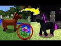 How to Spawn the Secret ENDER HORSE in Minecraft Pocket Edition!