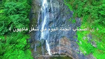 آيات من سورة يس القارىء بشير عبدالله 🌹