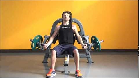 Steelflex Bicep Curl Machine (PLBC) | Fitness Direct