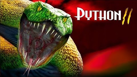 PYTHON 2 / MUSIC VIDEO