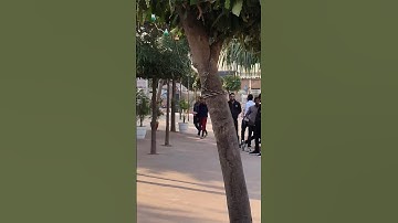 Wait for reaction 😱😄 #viralvideo #1million #youtubeshorts #shorts #youtube #reaction #public #stunt