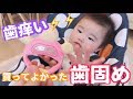 【生後6ヶ月】生え始めで歯痒い！そんな時の歯固め！
