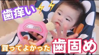 【生後6ヶ月】生え始めで歯痒い！そんな時の歯固め！