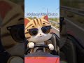 Highway Kitty Cruise