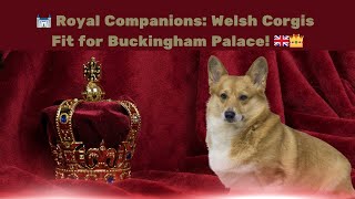 👑 Regal Pups: Exploring Welsh Corgis Fit For A Queen In The Uk! 🇬🇧🏴󠁧󠁢󠁷󠁬󠁳󠁿🐾