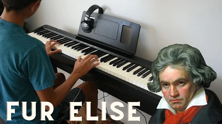 Fur Elise | Daniel Shively