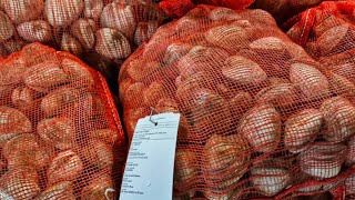 Exploring the Bronx Fish Market The 2nd Largest Fish Market In The World 