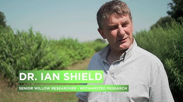 Keeping it green - Rothamsted Research - Sustainable Fuels