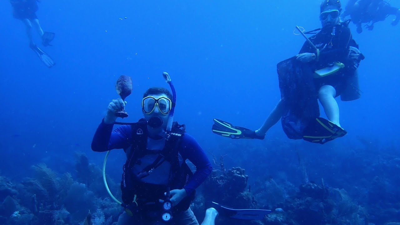 Epic dive with Blue Water Divers BVI
