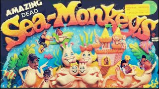 44 year old sea monkeys