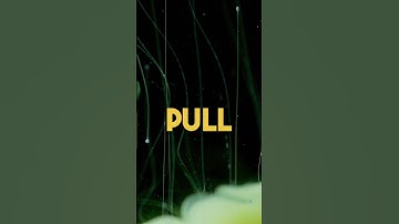 Master Your Mind | Tommy Gucciardo #shorts