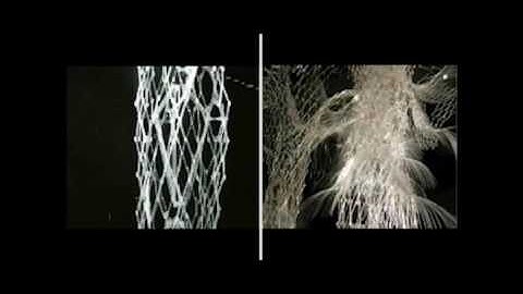 Discover the fantasy world of Shape Memory Materials