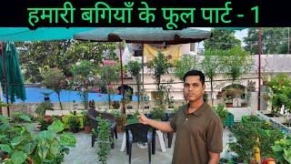 Garden Flowers part - 1 || Permanent Flower Plants || Summer Flowers || May Month Flower by Hamari Bagiya 2,961 views 12 days ago 15 minutes