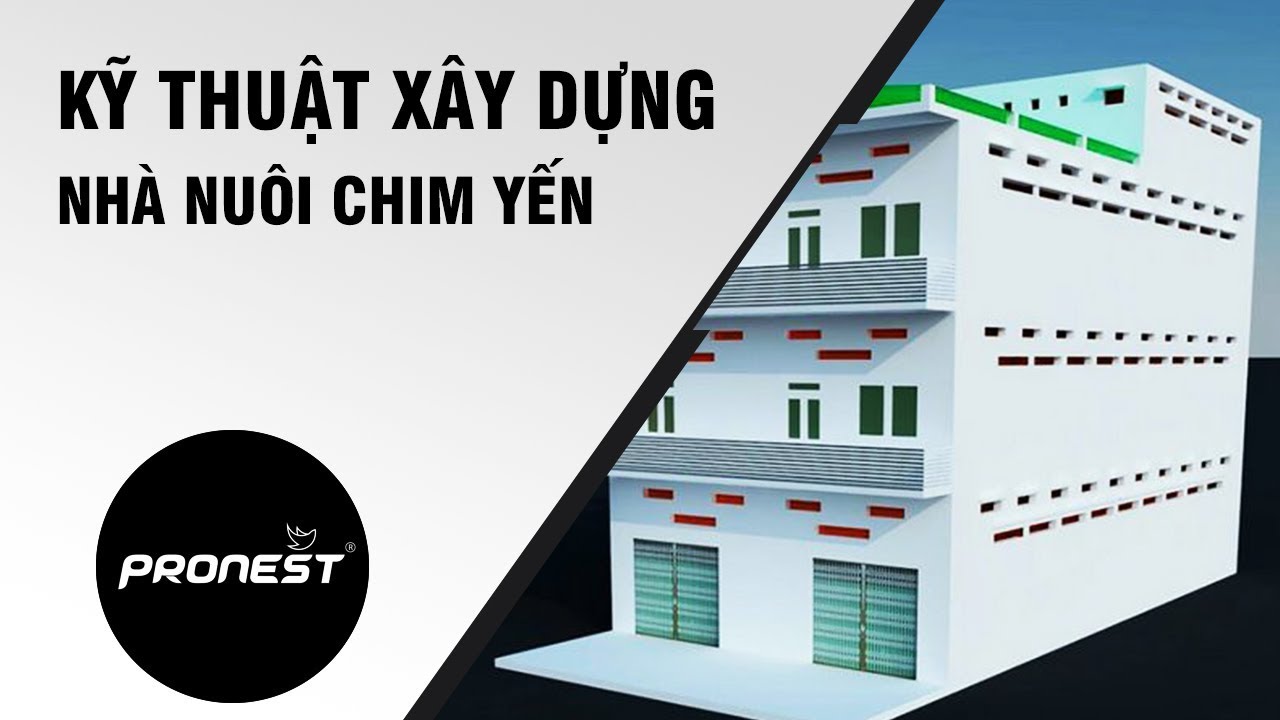 kỹ thuật xây nhà yến