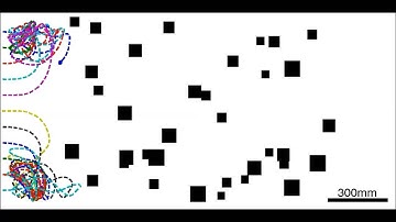 Bio Inspired Collision Avoidance Model